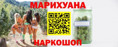 крисы Лесной