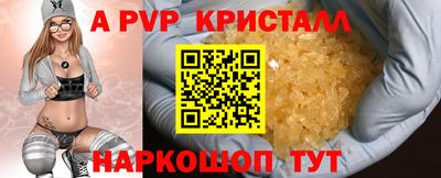 крисы Лесной