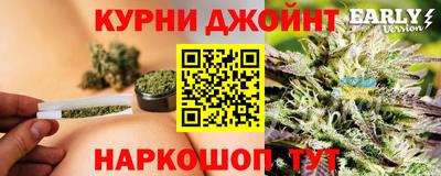 крисы Лесной