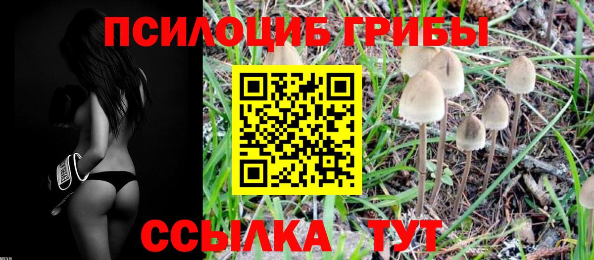 Галлюциногенные грибы Magic Shrooms  что такое наркотик  Богородицк 