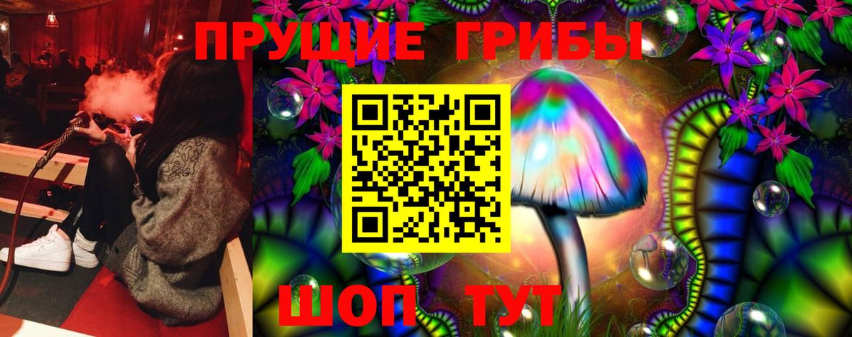 Богородицк  Галлюциногенные грибы прущие грибы  Вход с VPN  Псилоцибиновые грибы мицелий 